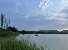 云南房地產資訊網 資訊中心 云南樂居