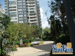 延安醫(yī)院正規(guī)一室一廳精裝修優(yōu)價出租 房產(chǎn)頻道 云南信息網(wǎng)