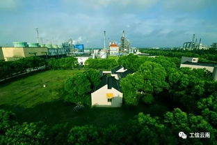 聚焦 全國第四批綠色制造名單公布 云南這些工廠 產品和園區上榜,其中保山1家綠色工廠