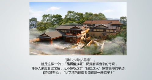 中國鄉(xiāng)村振興戰(zhàn)略特色小鎮(zhèn)與田園綜合體高端總裁峰會 西安站剪輯